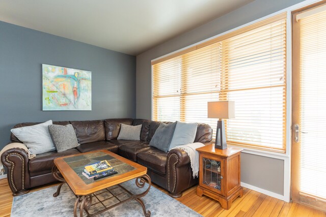 living room with light wood-type flooring