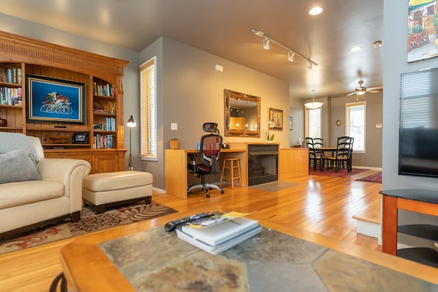 living room with ceiling fan, hardwood / wood-style flooring, and track lighting