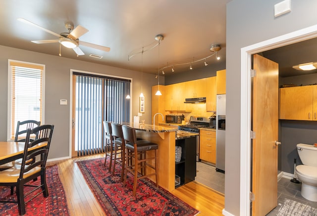 kitchen featuring appliances with stainless steel finishes, ceiling fan, decorative light fixtures, light hardwood / wood-style flooring, and light brown cabinets