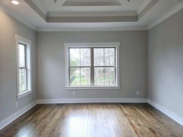 spare room with dark wood-type flooring, a tray ceiling, and crown molding