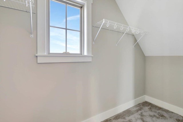 walk in closet featuring lofted ceiling and carpet