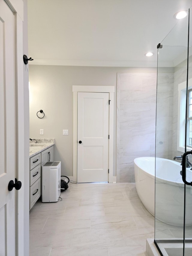 bathroom featuring vanity and separate shower and tub