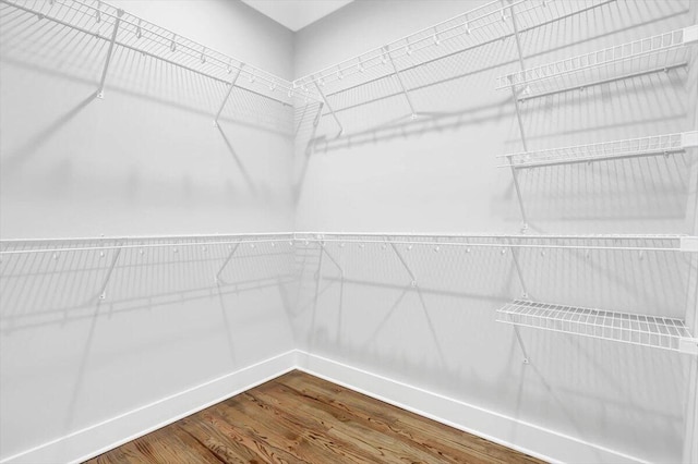 walk in closet featuring wood finished floors