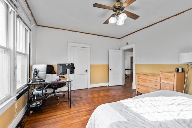 bedroom featuring multiple windows, ornamental molding, dark wood-type flooring, and ceiling fan