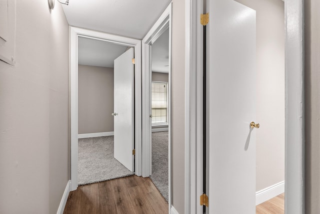 hall featuring wood-type flooring