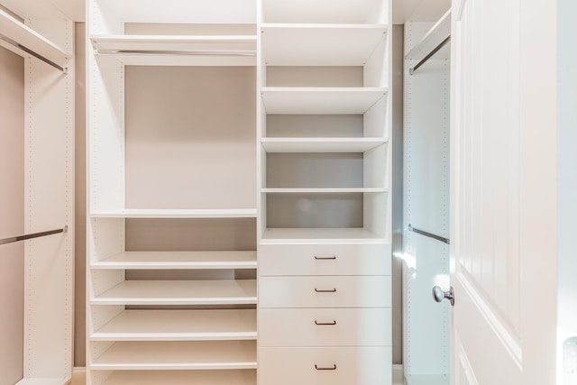 view of walk in closet