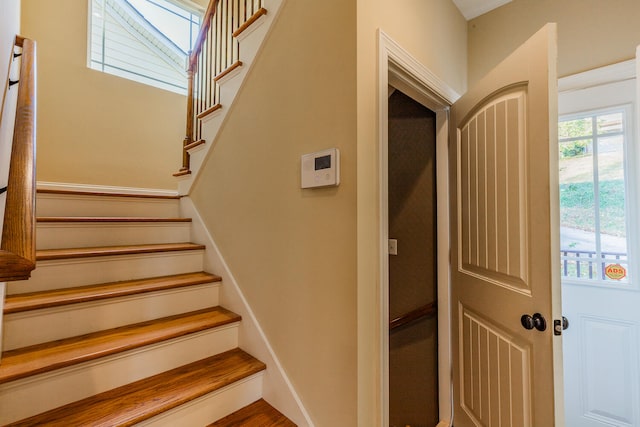 stairs featuring wood-type flooring