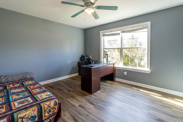 office with dark hardwood / wood-style flooring and ceiling fan