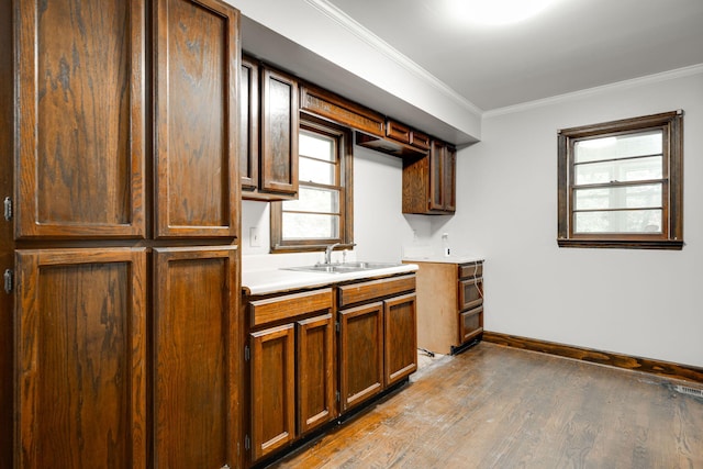 kitchen featuring sink, crown molding, and light hardwood / wood-style flooring