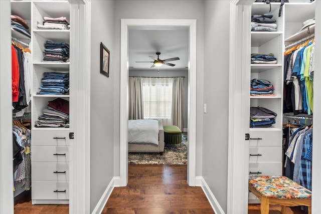 spacious closet with dark wood-type flooring and ceiling fan