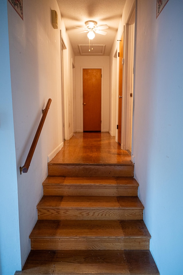 stairs featuring hardwood / wood-style floors and ceiling fan