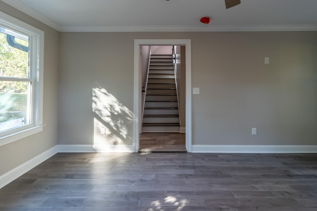 spare room with ornamental molding, dark wood-type flooring, and ceiling fan