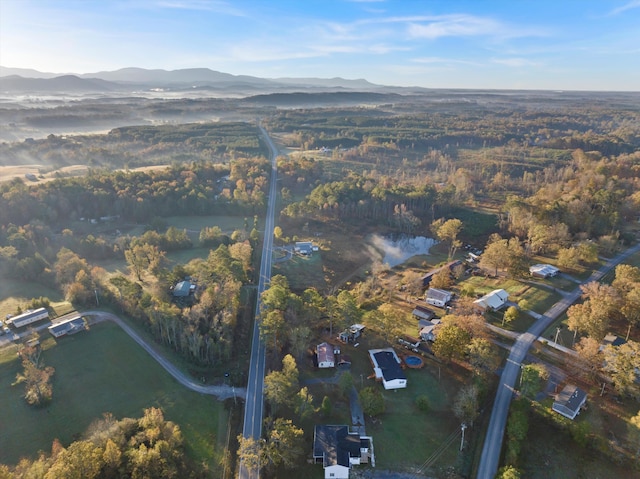 drone / aerial view featuring a mountain view