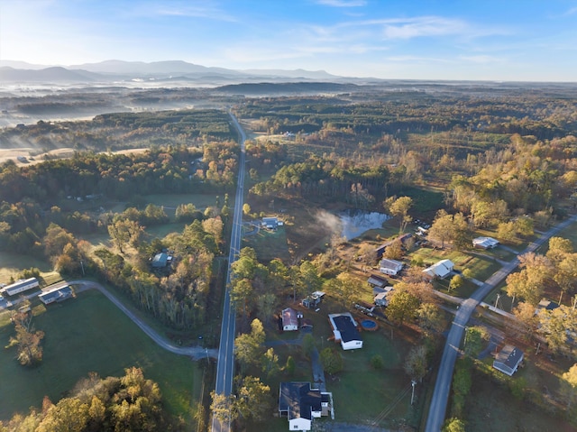 birds eye view of property featuring a mountain view