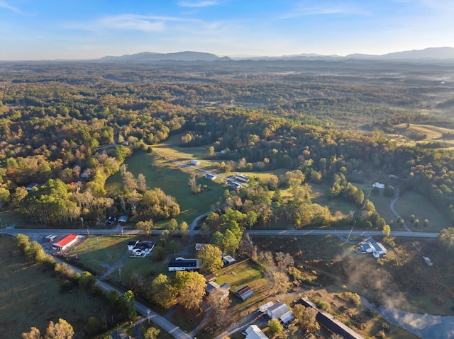 aerial view featuring a mountain view