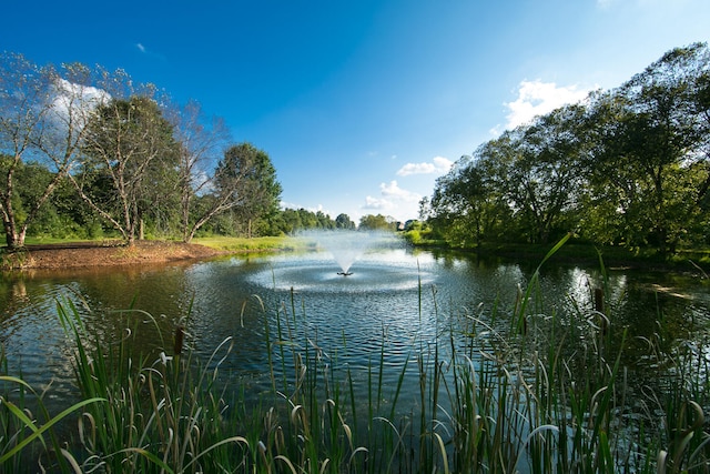 water view