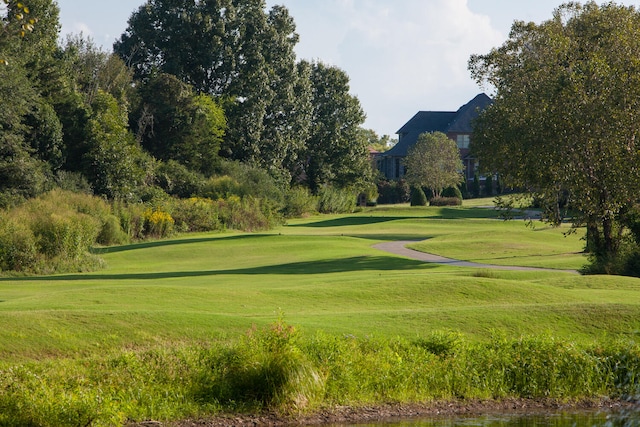 view of property's community with a lawn