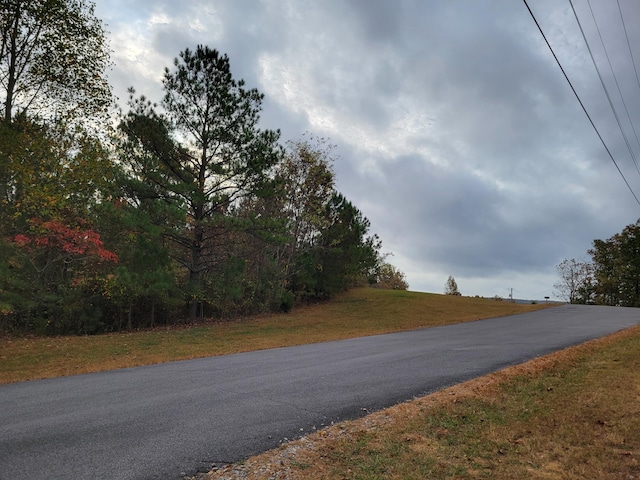 255 Falling Cliff Dr Unit 102, South Pittsburg, TN 37380 - photo 5