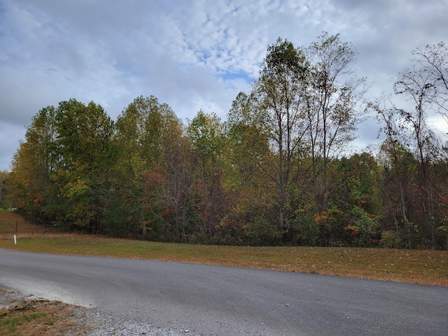 255 Falling Cliff Dr Unit 102, South Pittsburg, TN 37380 - photo 6