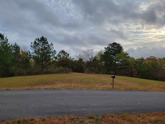 255 Falling Cliff Dr Unit 102, South Pittsburg, TN 37380 - photo 7