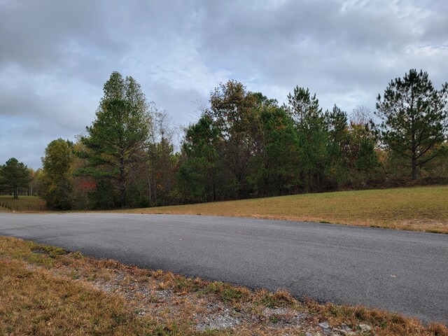 255 Falling Cliff Dr Unit 102, South Pittsburg, TN 37380 - photo 9