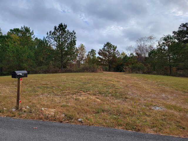 255 Falling Cliff Dr Unit 102, South Pittsburg, TN 37380 - photo 2
