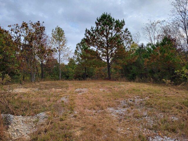 255 Falling Cliff Dr Unit 102, South Pittsburg, TN 37380 - photo 4