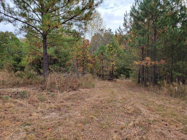 255 Falling Cliff Dr Unit 102, South Pittsburg, TN 37380 - photo 3