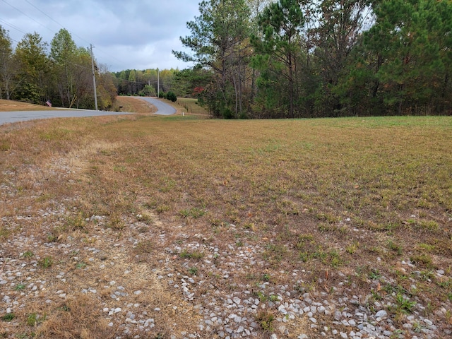 255 Falling Cliff Dr Unit 102, South Pittsburg, TN 37380 - photo 1