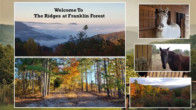 255 Falling Cliff Dr Unit 102, South Pittsburg, TN 37380 - photo 14
