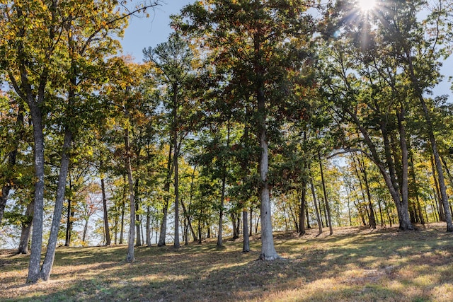 4107 Amethyst Rd, Chattanooga, TN 37419
