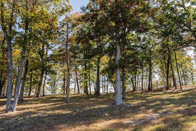4107 Amethyst Rd, Chattanooga, TN 37419