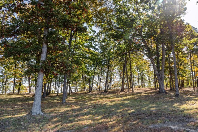 4107 Amethyst Rd, Chattanooga, TN 37419