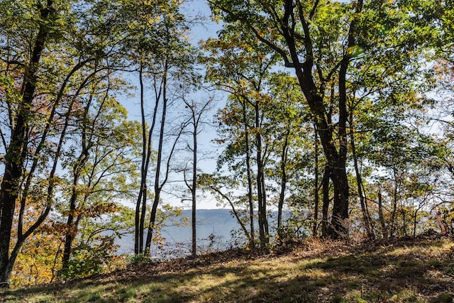 4107 Amethyst Rd, Chattanooga, TN 37419