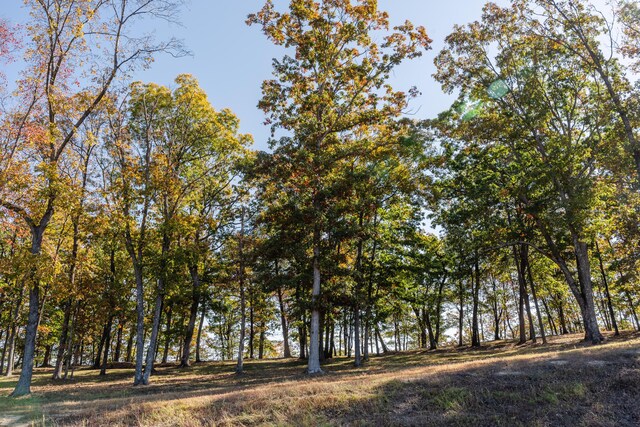 4107 Amethyst Rd, Chattanooga, TN 37419