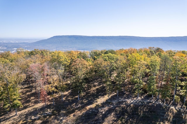 4107 Amethyst Rd, Chattanooga, TN 37419