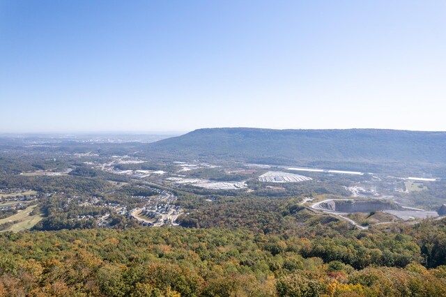 4107 Amethyst Rd, Chattanooga, TN 37419