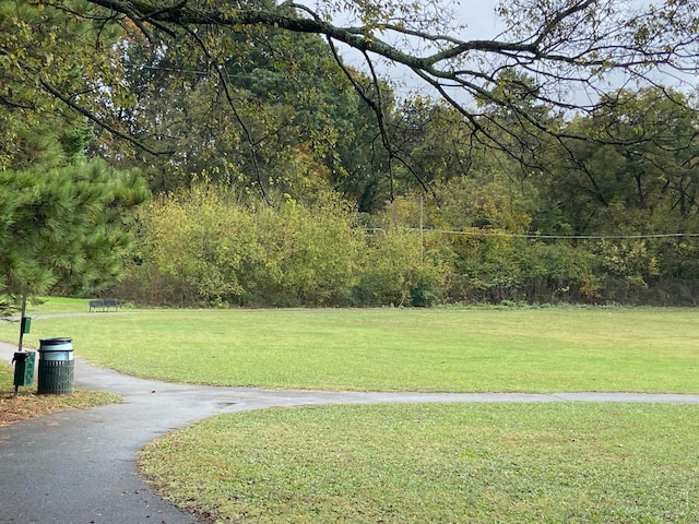 view of community featuring a yard