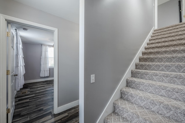 stairway with wood-type flooring