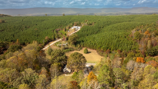 bird's eye view featuring a mountain view