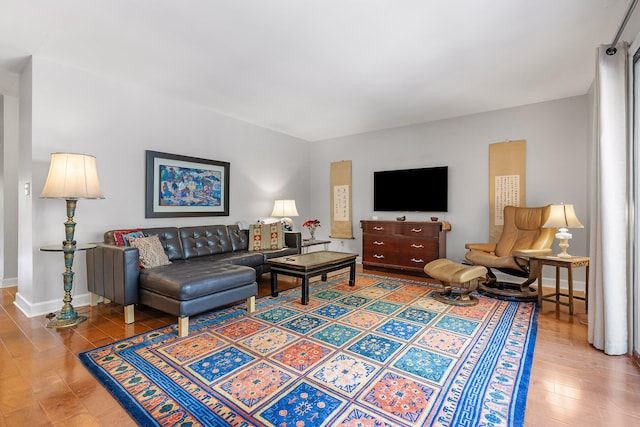 living room with wood-type flooring