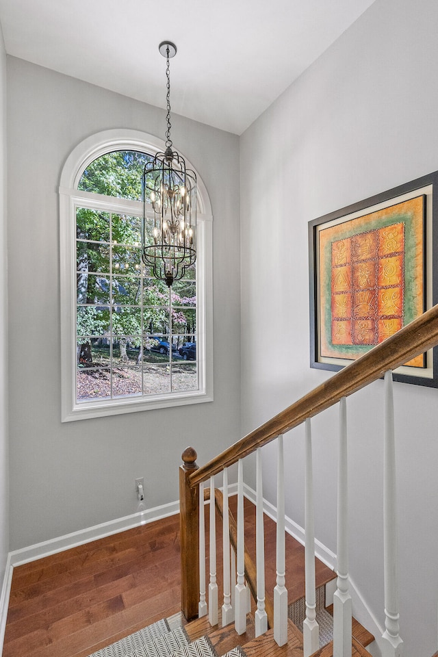 stairway featuring a chandelier and wood-type flooring