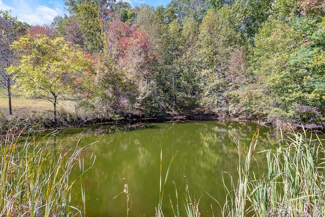 water view