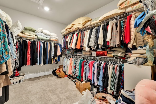 walk in closet with attic access and carpet flooring