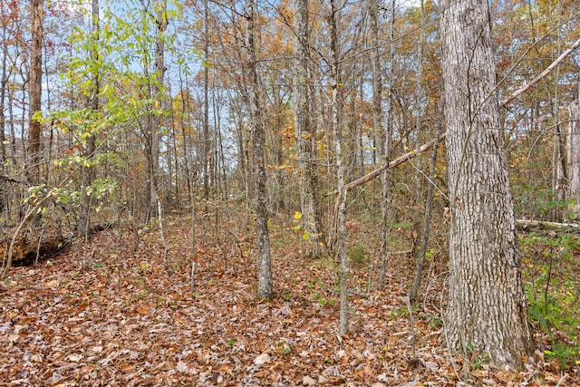 Listing photo 3 for 612 Miles Rd, Signal Mountain TN 37377