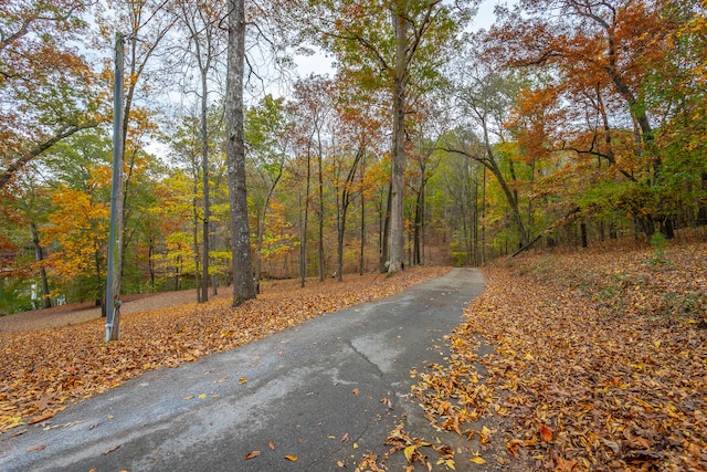 view of road