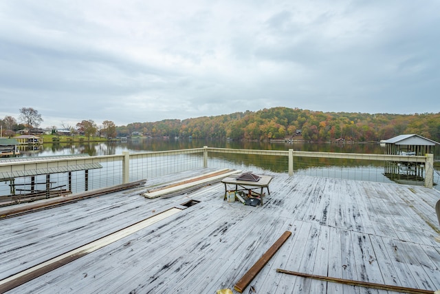 dock area with a water view