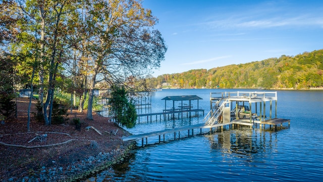 dock area with a water view