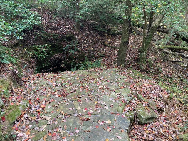 134 Old Spring Rd, Rising Fawn, GA 30738 - view of local wilderness