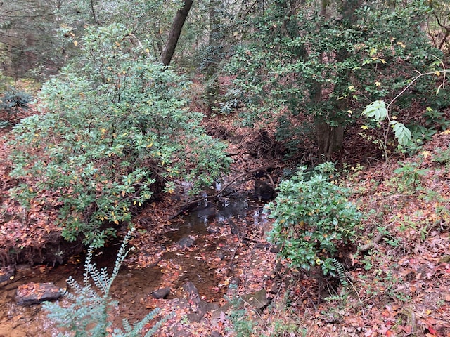 134 Old Spring Rd, Rising Fawn, GA 30738 - view of undeveloped land